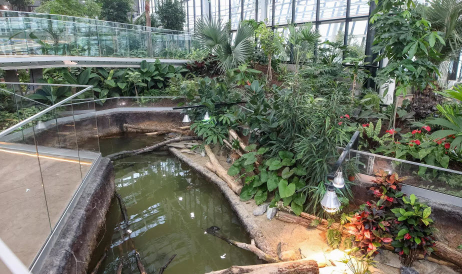 Exotarium Sosnowiec, Sosnowiec, Poland, Poland